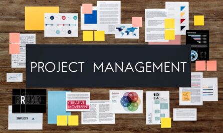 Top 10 Project Management Software for Small Business